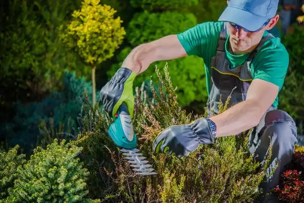 landscaping services Chippewa Park